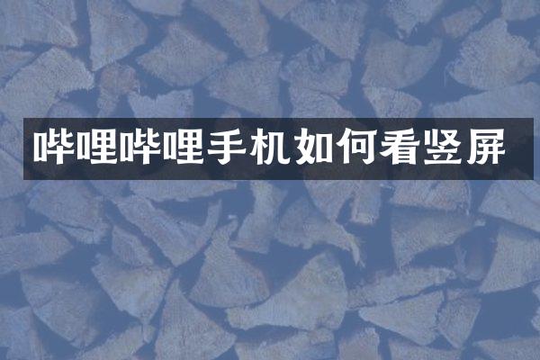 哔哩哔哩手机如何看竖屏