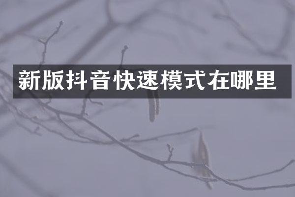 新版抖音快速模式在哪里