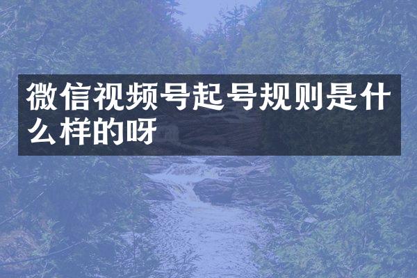 微信视频号起号规则是什么样的呀