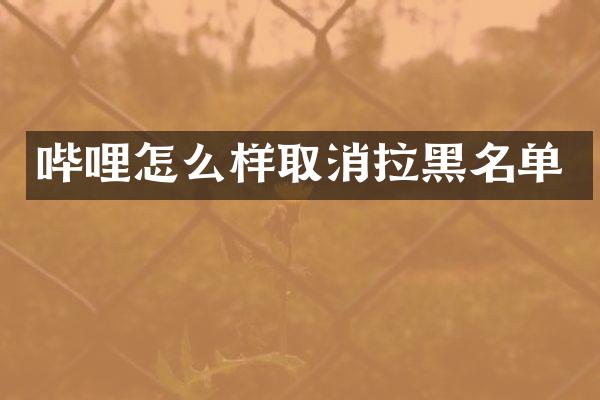 哔哩怎么样取消拉黑名单