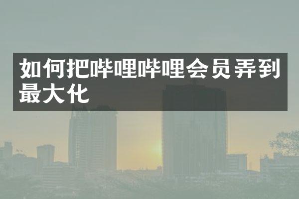 如何把哔哩哔哩会员弄到最大化
