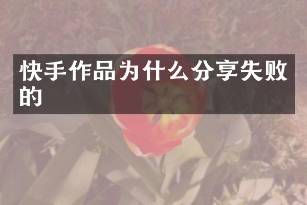 快手作品为什么分享失败的