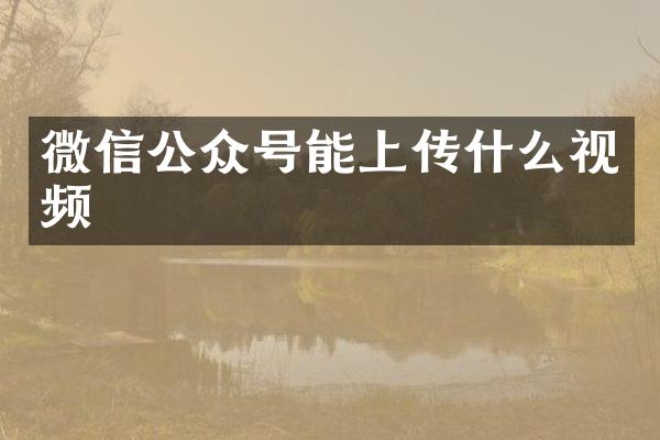 微信公众号能上传什么视频