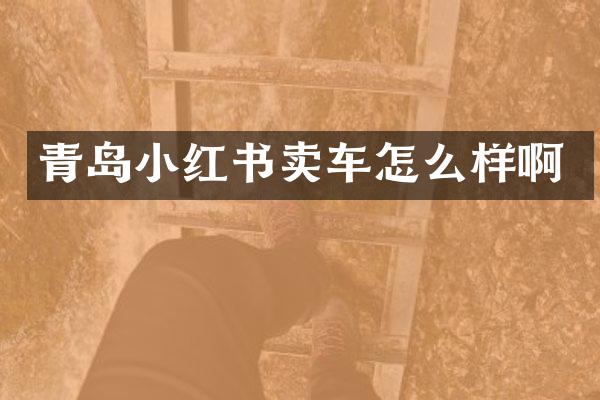 青岛小红书卖车怎么样啊