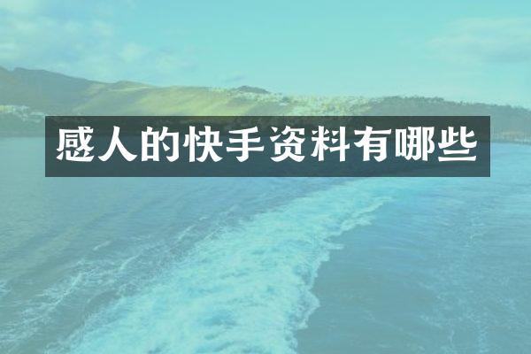 感人的快手资料有哪些