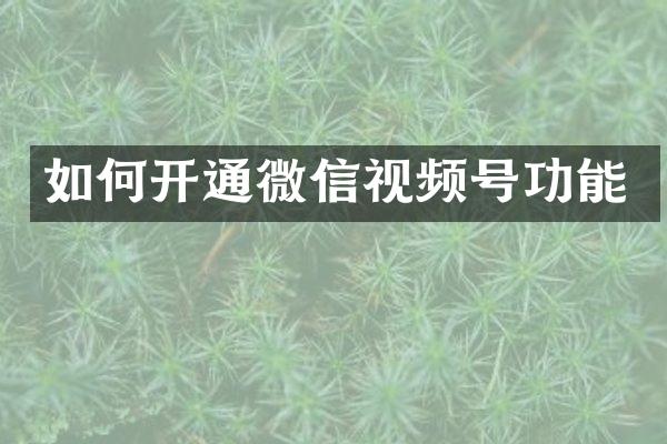 如何开通微信视频号功能