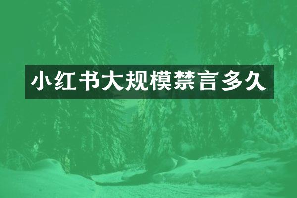 小红书大规模禁言多久