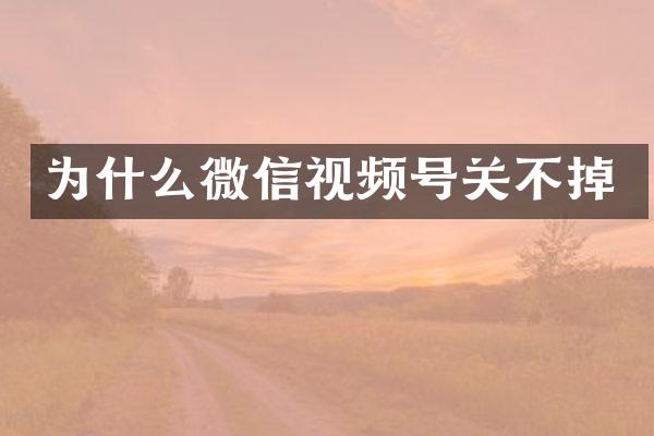 为什么微信视频号关不掉