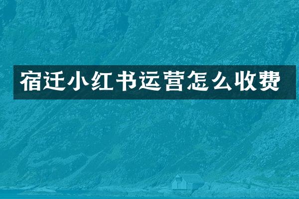 宿迁小红书运营怎么收费