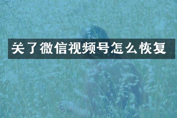 关了微信视频号怎么恢复