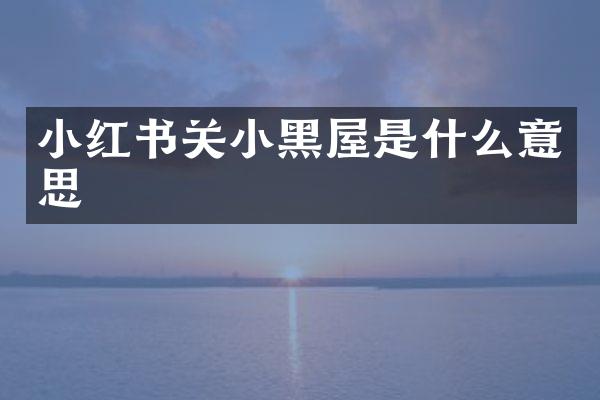 小红书关小黑屋是什么意思