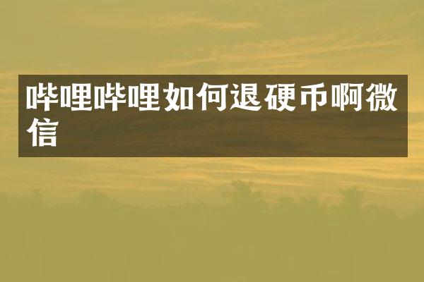 哔哩哔哩如何退硬币啊微信