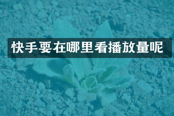 快手要在哪里看播放量呢