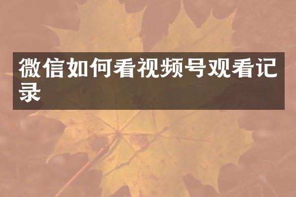 微信如何看视频号观看记录