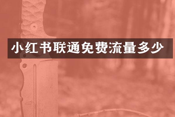 小红书联通免费流量多少