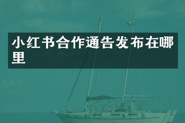 小红书合作通告发布在哪里