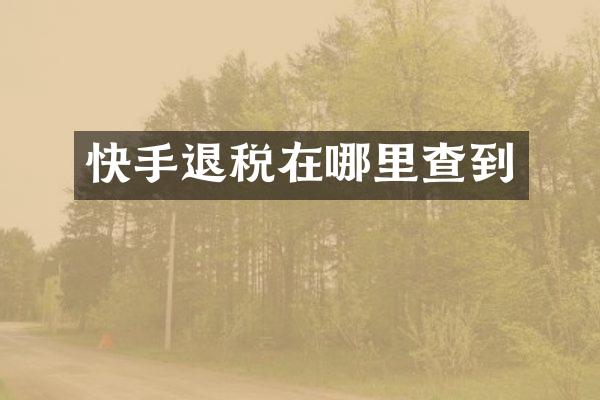 快手退税在哪里查到