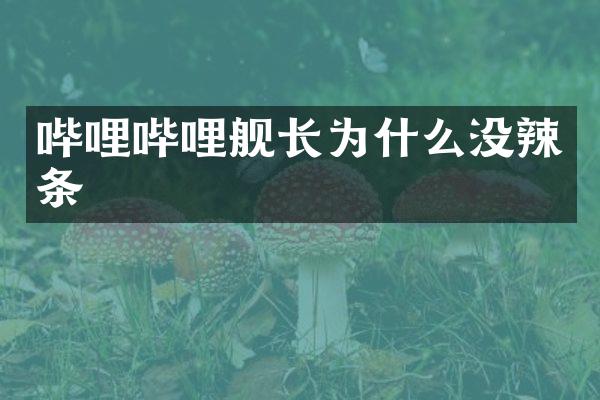 哔哩哔哩舰长为什么没辣条