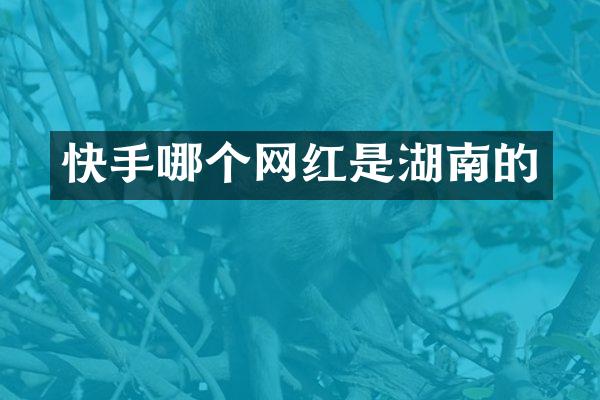 快手哪个网红是湖南的