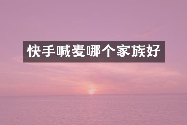 快手喊麦哪个家族好