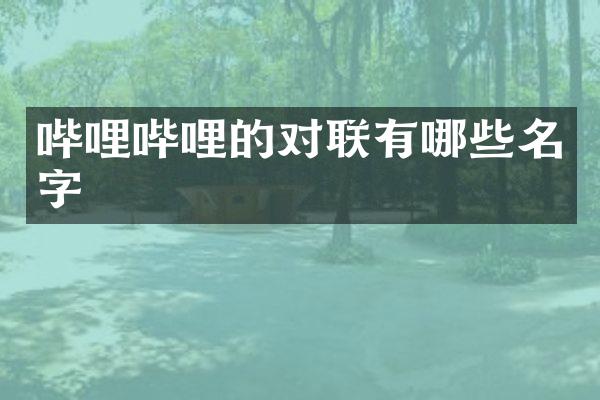 哔哩哔哩的对联有哪些名字