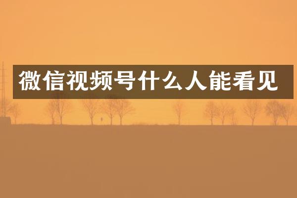微信视频号什么人能看见