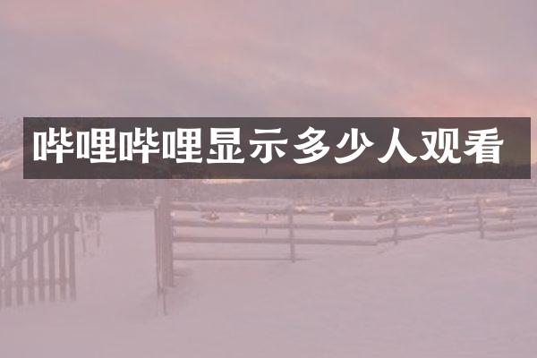 哔哩哔哩显示多少人观看
