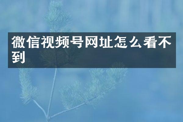 微信视频号网址怎么看不到
