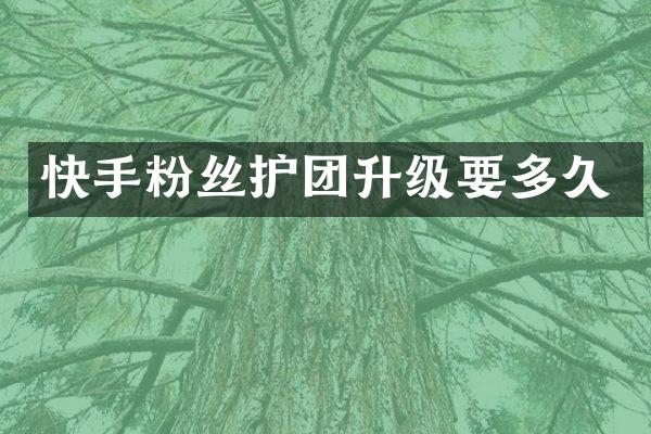 快手粉丝护团升级要多久