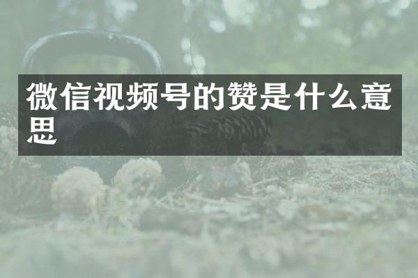 微信视频号的赞是什么意思