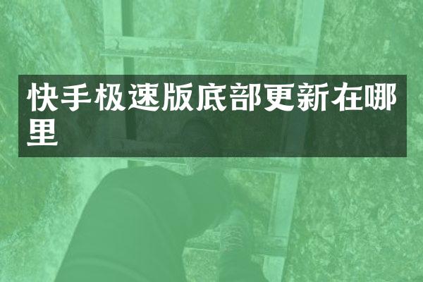 快手极速版底部更新在哪里