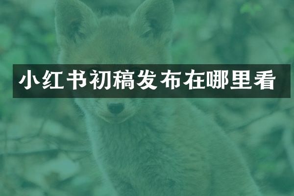 小红书初稿发布在哪里看