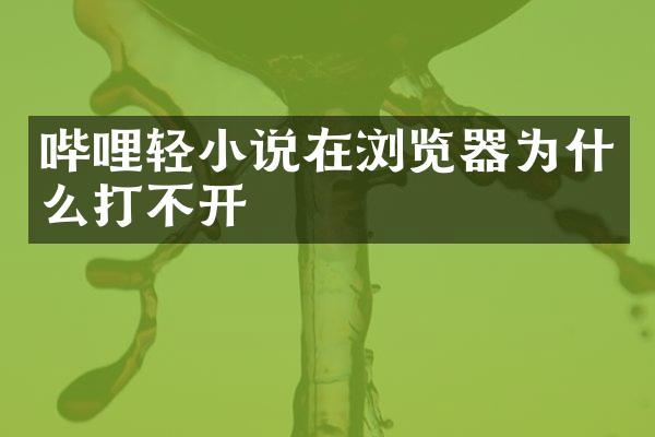 哔哩轻小说在浏览器为什么打不开