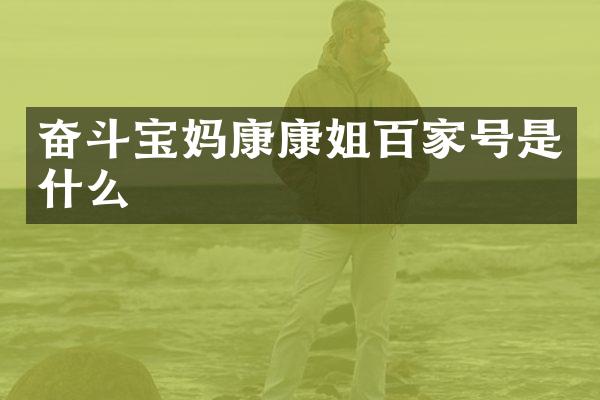 奋斗宝妈康康姐百家号是什么