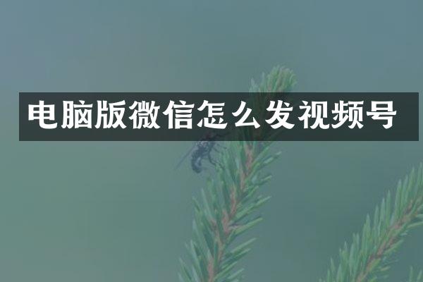 电脑版微信怎么发视频号