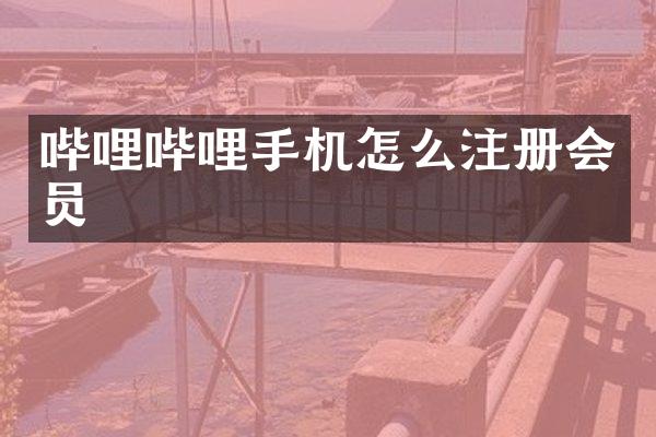 哔哩哔哩手机怎么注册会员