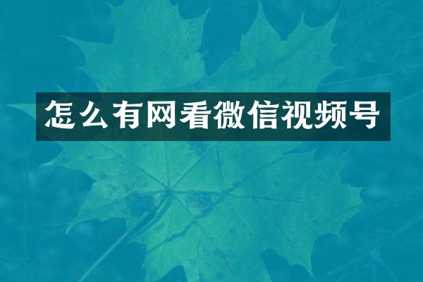 怎么有网看微信视频号