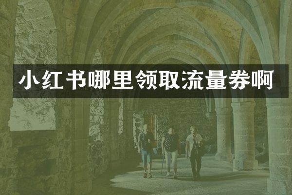 小红书哪里领取流量券啊