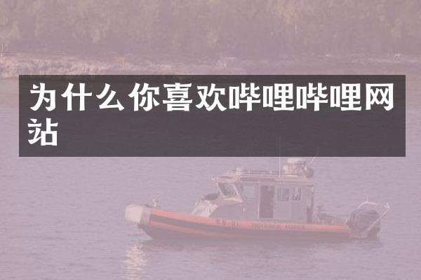 为什么你喜欢哔哩哔哩网站