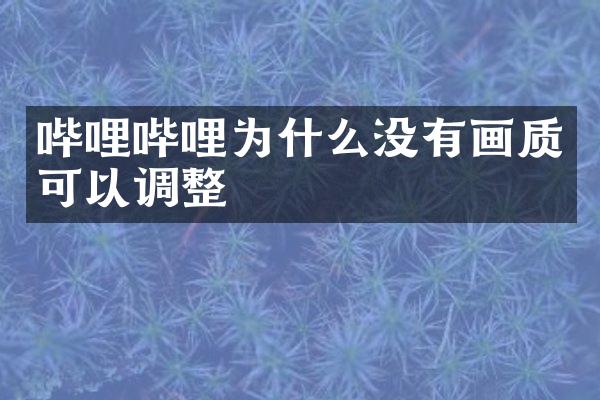 哔哩哔哩为什么没有画质可以调整