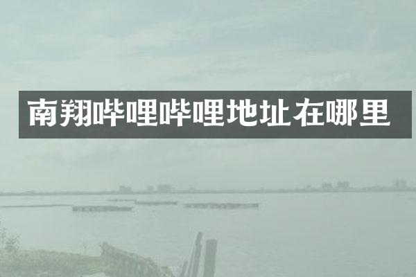南翔哔哩哔哩地址在哪里