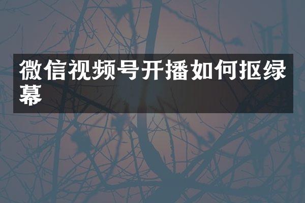 微信视频号开播如何抠绿幕