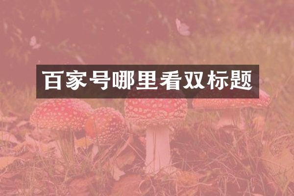 百家号哪里看双标题