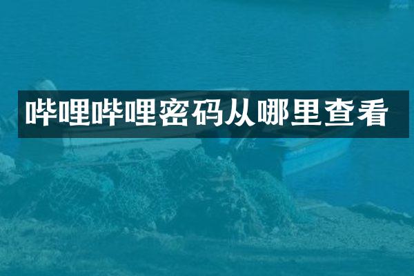 哔哩哔哩密码从哪里查看