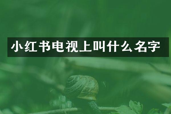 小红书电视上叫什么名字