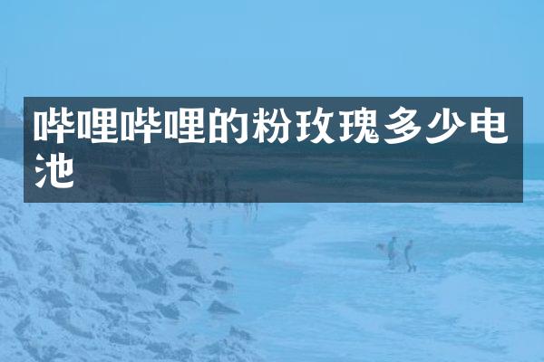 哔哩哔哩的粉玫瑰多少电池