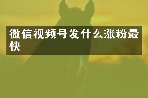 微信视频号发什么涨粉最快