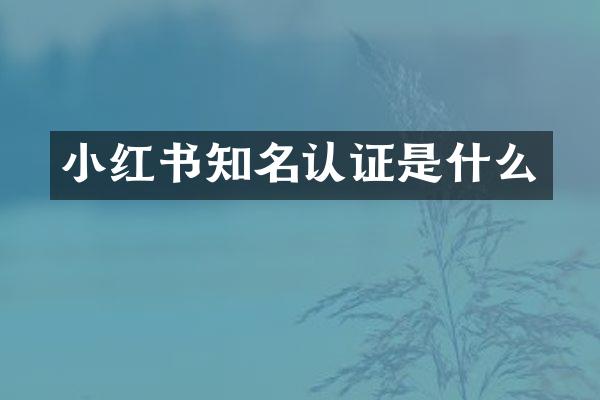 小红书知名认证是什么