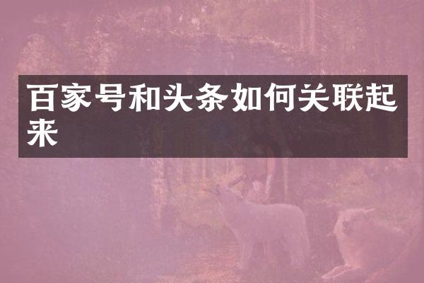 百家号和头条如何关联起来