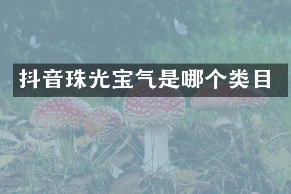 抖音珠光宝气是哪个类目